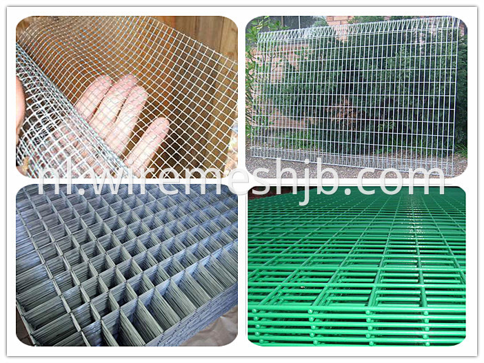 Welded Wire Mesh